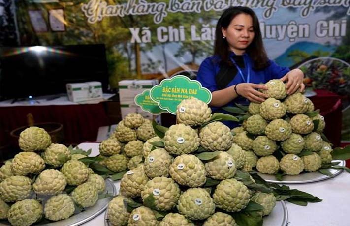 Nằm mơ thấy bán mãng cầu cho người khác là điềm báo tốt lành cho bạn – Vậy bạn nên đặt cược vào con số nào nếu nằm mơ thấy mãng cầu để kiếm tiền? Mơ thấy quả na đánh số nào chắc trúng? Giấc mơ báo điềm gì? | Lô Đẹp Hôm Nay