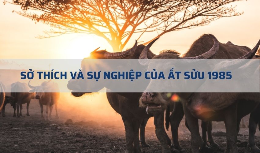 Nghề nghiệp nào phù hợp với người sinh năm Ất Sửu? TIPS 5 ngành nghề phù hợp nhất